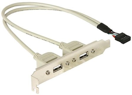 Delock USB-panel - 10-pins USB-kontakt til USB - 30 cm