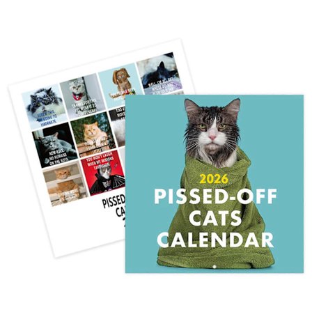 Pissed Off Cats Kalender 2026 Rolig Katt Väggkalender Pissed Off Cats Kalender 2026