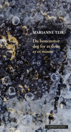 Du bestemmer deg for at dette er et minne - Bok av Marianne Teie - Hardback