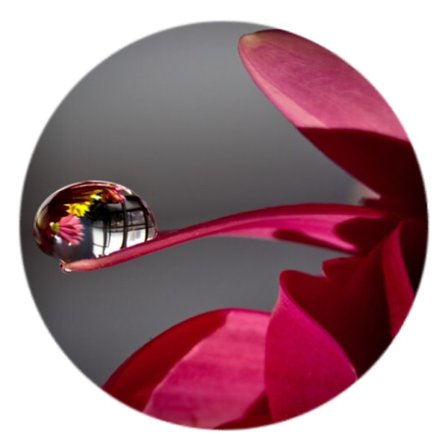 Mobilhållare i elegant motiv "Flower-Mist" - Pop-stand -