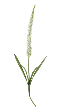 Bloomingville Kunstig Stilkblomst Foxtail Hvit H73