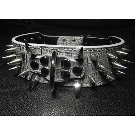 Hund halsband 2" grått med nitar 54-62cm