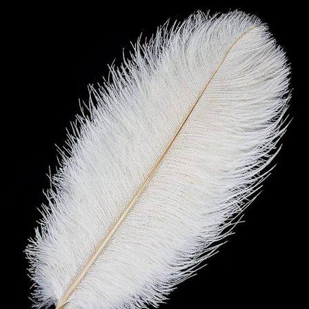 12 st vita strutsfjädrar - 12-14 tum (30-35 cm) naturliga strutsfjädrar i bulk för hantverk, festdekorationer, bröllop, vasdekorationer, maskerad