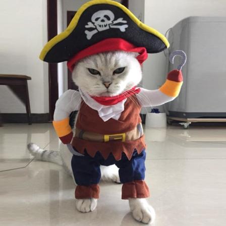 Halloween Kostumer Hund Kat Lille Pirat Cosplay Tøj, Bryst 30cm, Længde 17cm