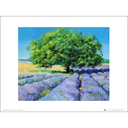 Exklusivt Art Print - Jean-Marc Janiaczyk - Tree and Lavenders Multicolor