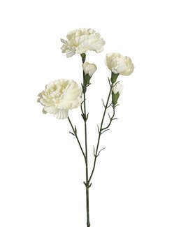 Konstväxt snittblomma Nejlika 65 cm 1-pack Vit - Mr Plant