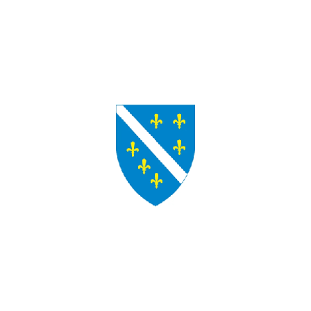 Bosnia flagg (1992-1998)