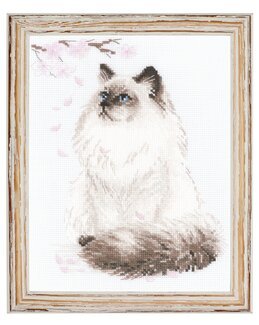 Bild Charlie - Riolis