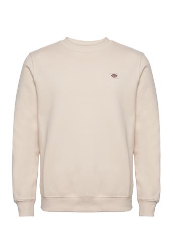 Oakport Sweatshirt Designers Sweatshirts & Hoodies Sweatshirts Cream Dickies
