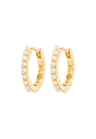 Pilgrim Kalia Earrings Smycken & klockor Dam Guld ONESIZE