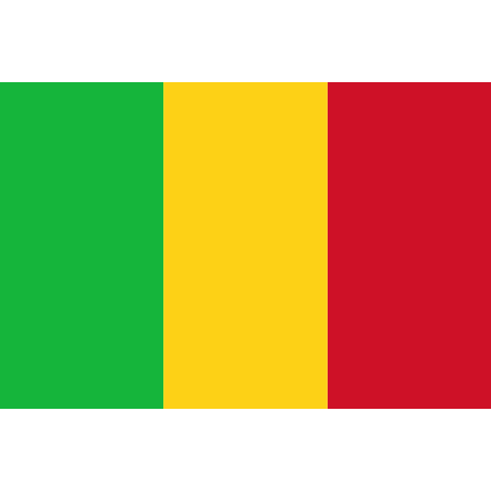 Mali lippu Mali