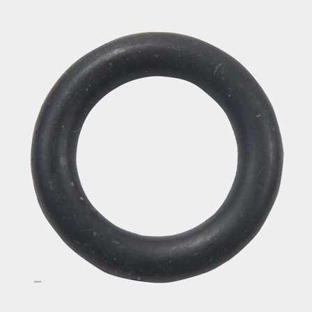 O-ring