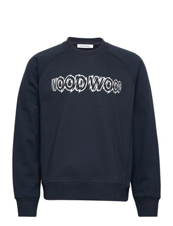 Hester Shatter Logo Sweatshirt Svetari Collegepaita Sininen Wood Wood