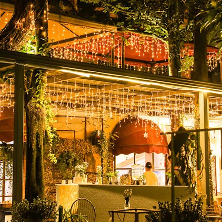 Jul LED Gardin Istappar Strängljus 220V LED Fest Trädgårdsscen Utomhus dekorativt ljus