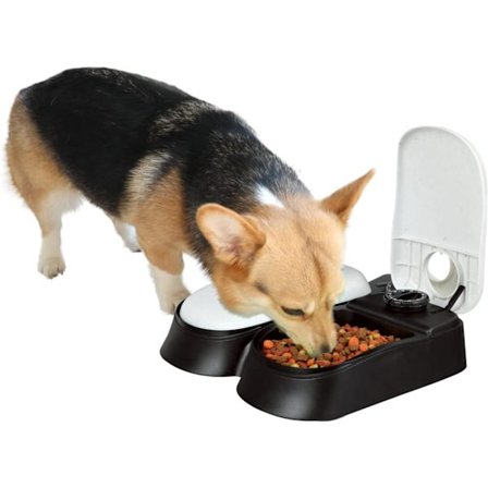 Automatisk Mater Automatisk Matdispenser Tidstyrt Matskål for
