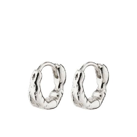 Pilgrim Eddy Earrings Smycken & klockor Dam Silver ONESIZE