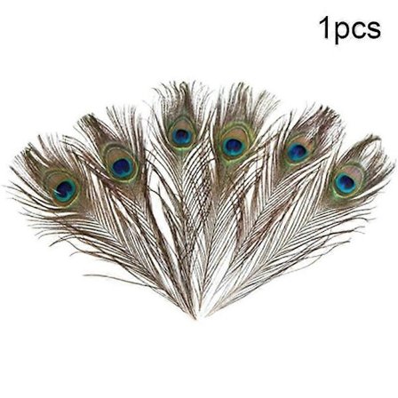 Luonnolliset riikinkukon pyrstösulat pitkä KIMPPPU (FMY)