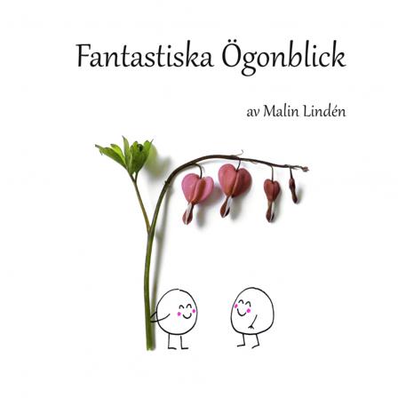 Fantastiska ögonblick - Bok av Malin Lindén - Inbunden