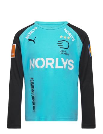 Teampacer Gk Ls Jersey Jr T-shirts Football Shirts Blå PUMA*Betinget Tilbud