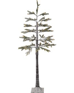 Star Trading Juletre Tanne Med LED Grønn