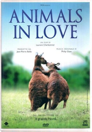 Animals In Love