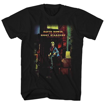 David Bowie T Shirt The Rise and Fall of Ziggy Stardust And The Spiders From Mars David Bowie Shirt