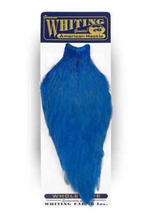 Whiting American Rooster Cape White dyed Kingfisher Blue