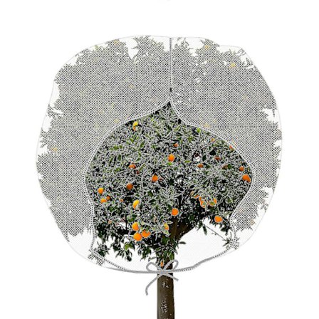 Stort insektnet til haven, plantebetræk med lynlås H-formet pose, insektnet til haven, plantebetræk til beskyttelse af frugter - xinhan