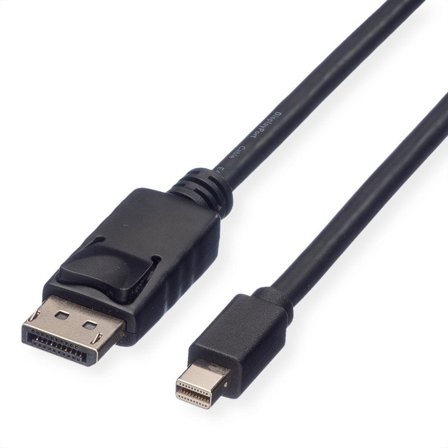 ROLINE Displayport Cable 2 M Mini