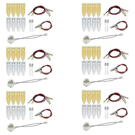 Vitenskapseksperimentsett for barn Fruktbatteri Læringsleke[HK]