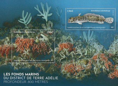 Fransk Antarktis - Livet i havet - Postfrisk miniark