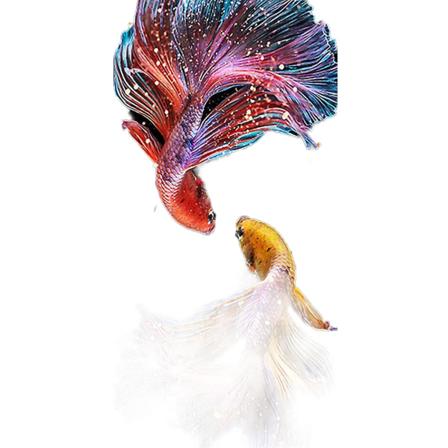 Fisk 5d Gör-det-själv- diamond painting Stor fullstorlek hantverksdiamant