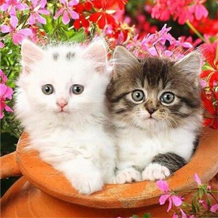 30 x 40 cm, to killinger Diamantmaleri Broderi Diamantmaling