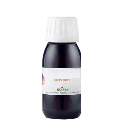 Arnica Montana Tintura Madre 60ml