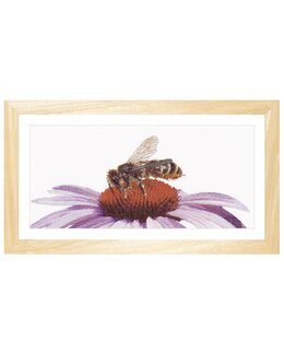 Bild Biene - Thea Gouverneur