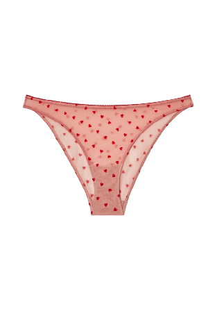 Understatement Mesh Bikini Briefs Trosor Dam Rosa XXL