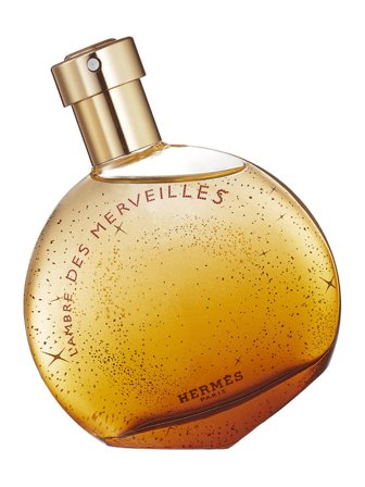 Hermès Eau des Merveilles L'Ambre des Merveilles Eau de Parfum 100ml