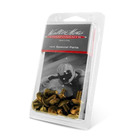 Kit Viti Carena Valter Moto Oro - Kawasaki Ninja 300 ABS 2013-2016