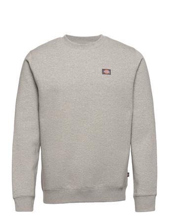 Oakport Sweatshirt Grey Dickies