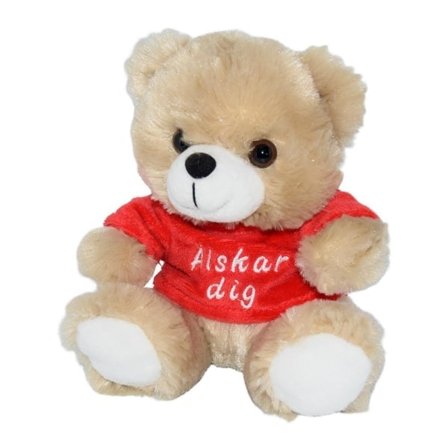 Nallebjörn med t-shirt, Love you