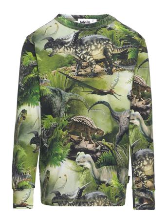 Rill Langærmet T-shirt Multi/mønstret Molo