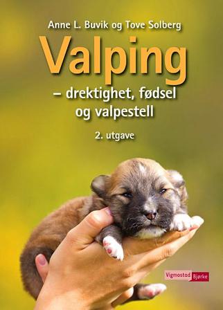 Valping - Bok av Tove Solberg & Anne L. Buvik - Hardback