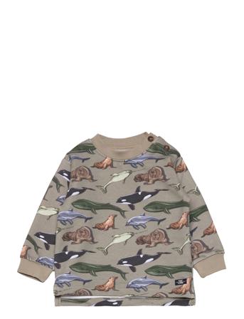 Samy - Sweatshirt Sweatshirt Trøje Multi/mønstret Hust & Claire