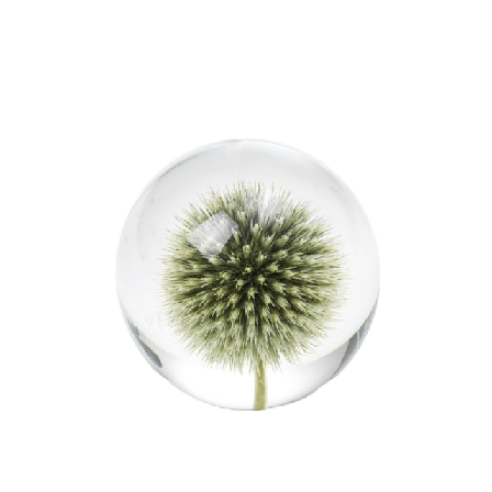 In Flore Tistel Pappersvikt Inredningsdetaljer Grön