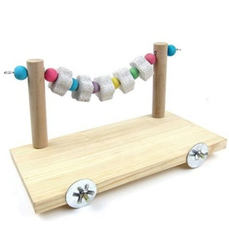 Små djur Lava tänder slipande sten Hamster träplattform