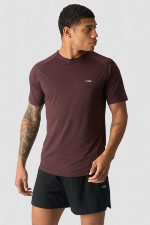 ICANIWILL - Stride Raglan Mesh T-shirt Men Burgundy - Herr - Träningskläder från ICIW