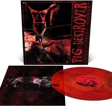 38 counts of battery PIG DESTROYER