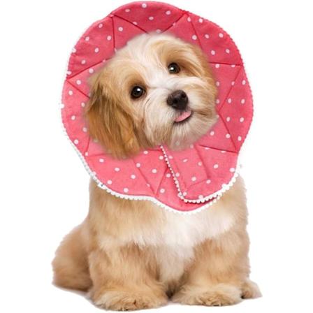 Kegleformet, behagelig post-kirurgisk krave til katte og hunde, robust, w