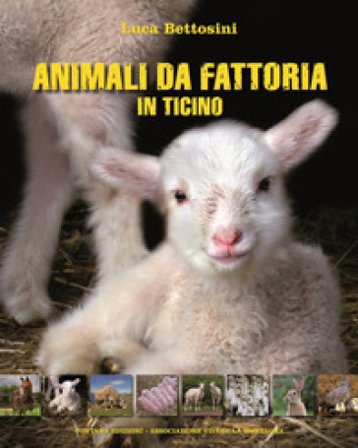 Animali da fattoria in Ticino Luca Bettosini