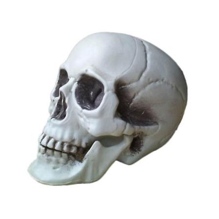 Alle størrelser menneske kranie hoved skelet Halloween stil rekvisit hjem fest dekoration